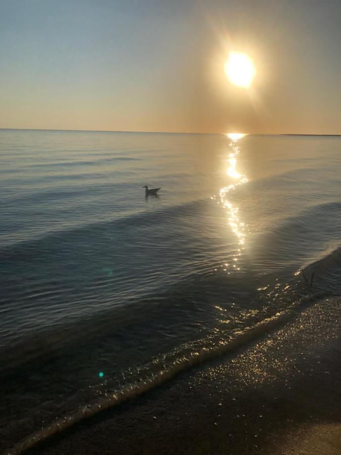 Primera Linea De Playa A 1Km Del Puerto De Дения Екстериор снимка